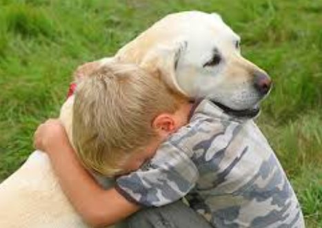 Animal de estimação propicia Saúde – Por Eduardo Filetti