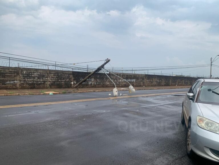 Vento forte derruba árvore sobre carro na avenida Brasil