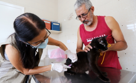 Jacareí tem microchipagem e vacinação gratuita para pets neste sábado (21)