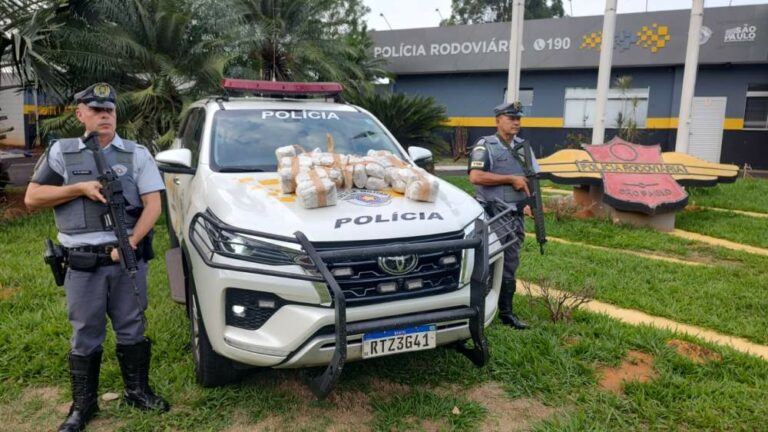Polícia Rodoviária de Araçatuba prende mulher com 37 pacotes de skunk