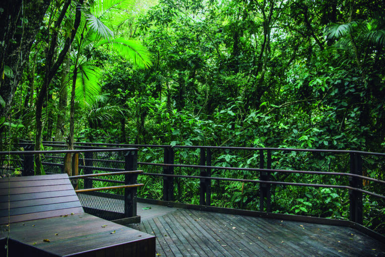 Sesc Bertioga convida para uma imersão na natureza neste sábado