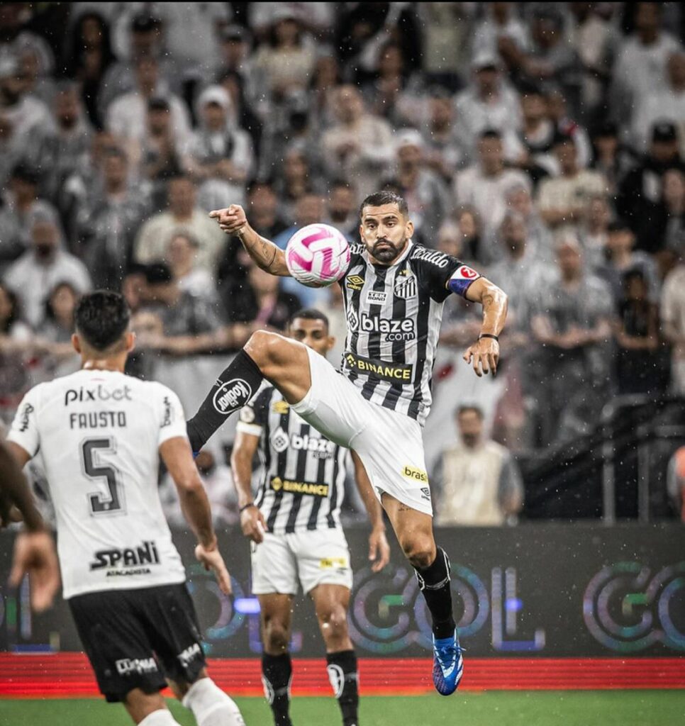 Santos x Atlético-MG: gato preto invade gramado da Vila Belmiro durante jogo;  veja vídeo, santos