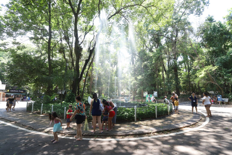Prefeitura de Campinas reabre parques nessa segunda-feira, 20
