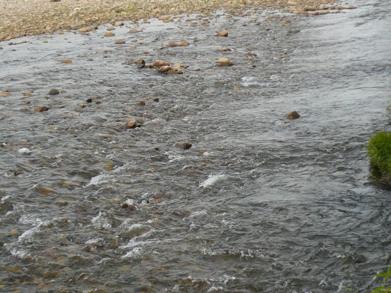 afogada no rio das pedrinhas guaratinguetá