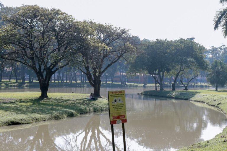 Piracicaba confirma mais uma morte por febre maculosa