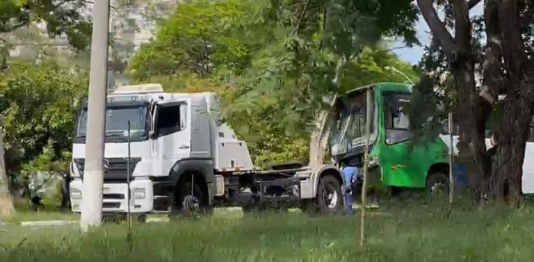 Homem rouba ônibus do transporte público e bate em árvore em Campinas