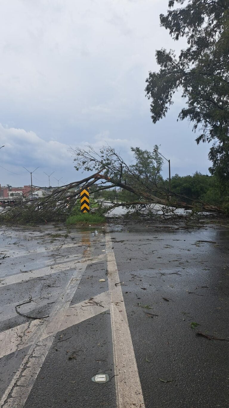 Chuva atinge região e causa estragos; veja imagens