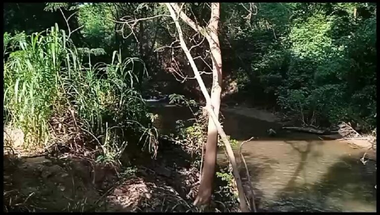 Corpo de homem é encontrado em córrego próximo a Bandeirantes