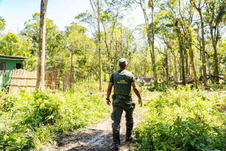 Imóveis irregulares em área de preservação de Bertioga são demolidos