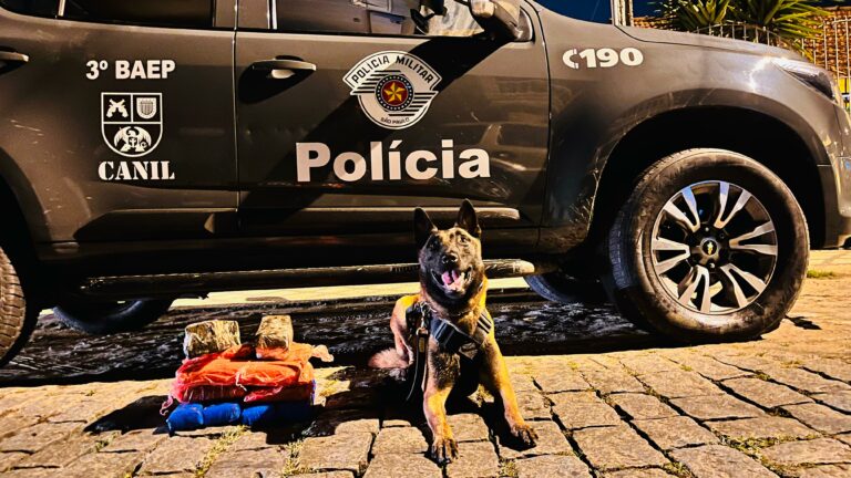 Cães farejadores ajudam a encontrar mais de 11kg de drogas