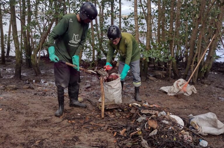 Cubatão tem mutirão de limpeza do mangue neste domingo (25)