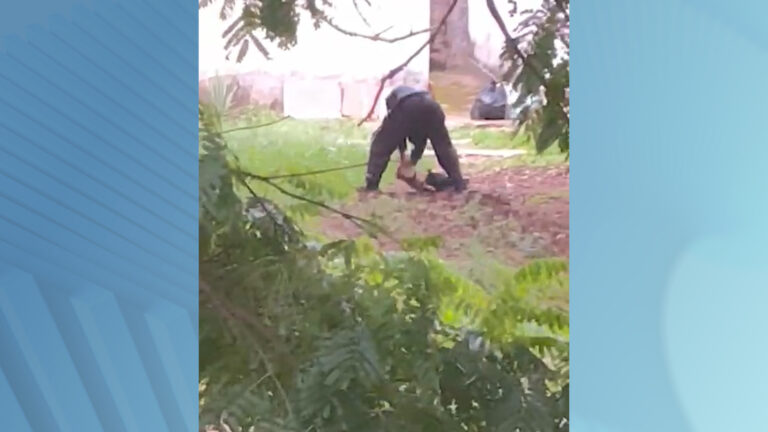 Homem é preso após ser flagrado espancando cachorro em Limeira