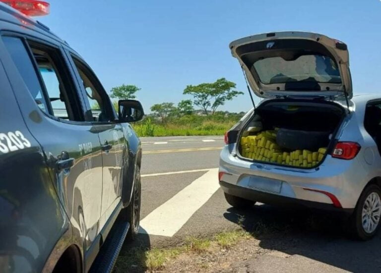 Polícia Militar apreende 519 tijolos de maconha destinados a Araçatuba