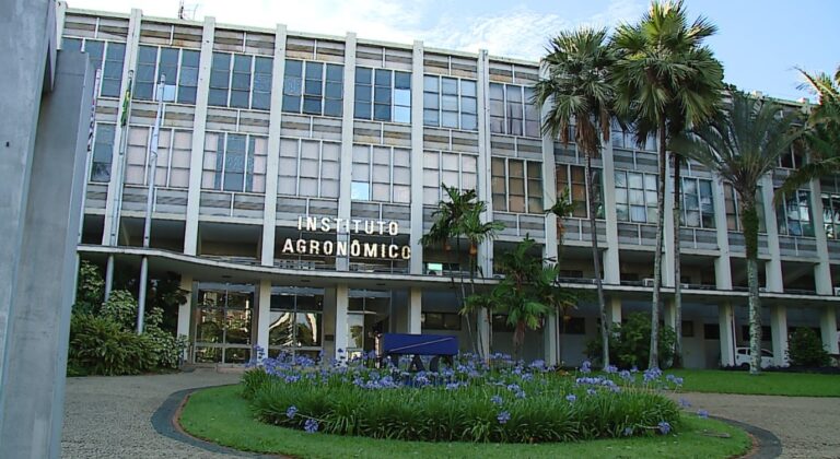 Pane elétrica causa incêndio em prédio do IAC