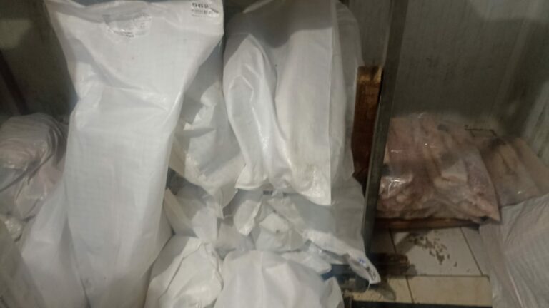 Peixaria multada R$ 12 mil por falta de documentos