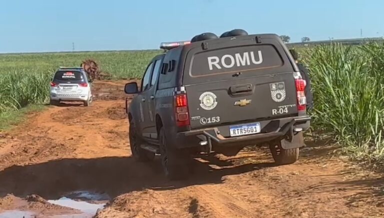 Homem é encontrado decapitado e sem as mãos em Cosmópolis