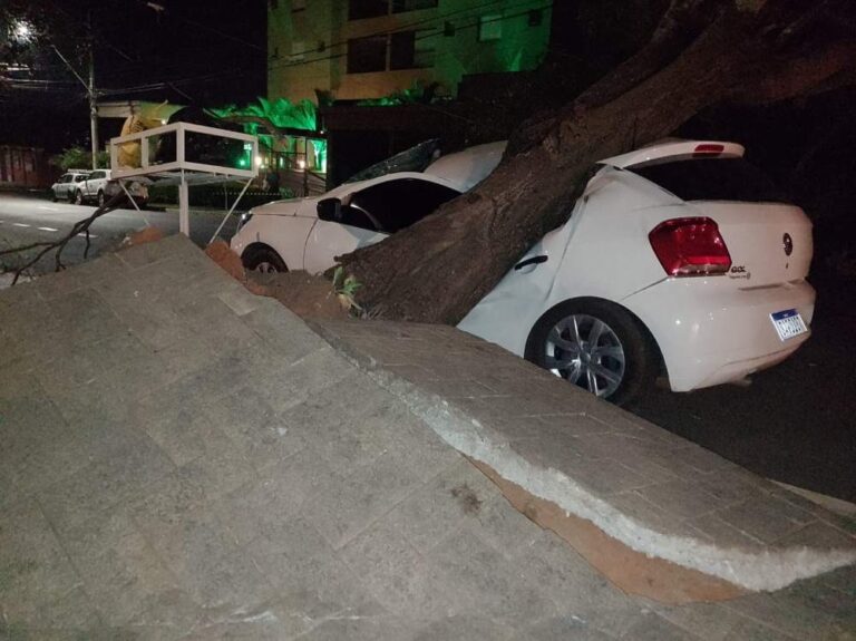 Árvore cai sobre carro estacionado em Araçatuba