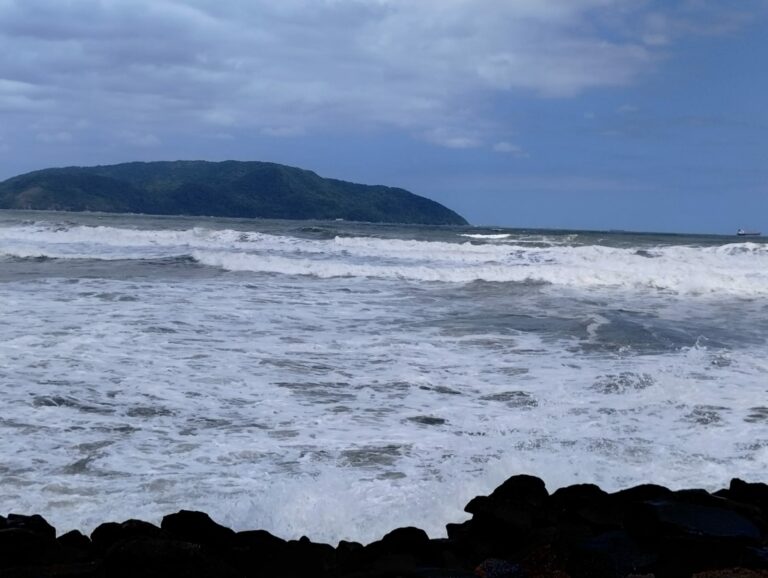 Painel sobre Cultura Oceânica é realizado em hotel de Santos