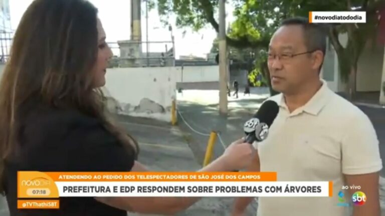 Quedas de árvores: veja orientações do secretário de Manutenção da Cidade