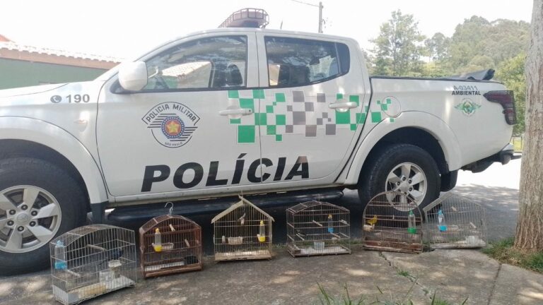 Aves são resgatadas de cativeiro em São Luiz do Paraitinga