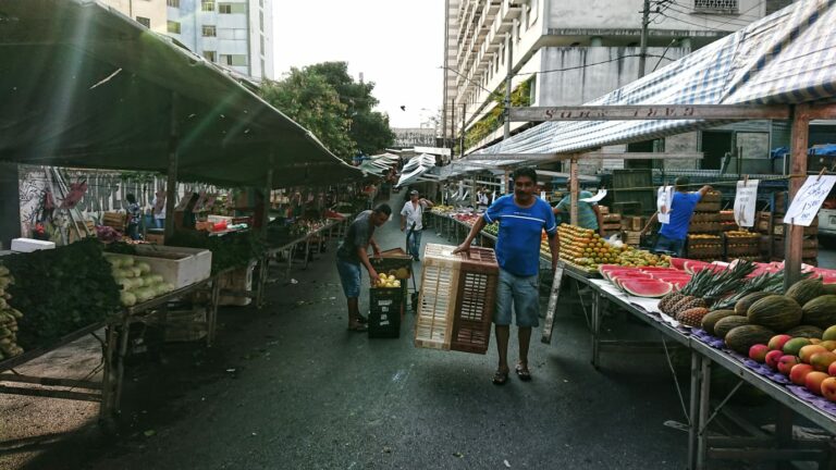 Feirantes relatam perda de mercadorias e dificuldades por causa do calor em SP