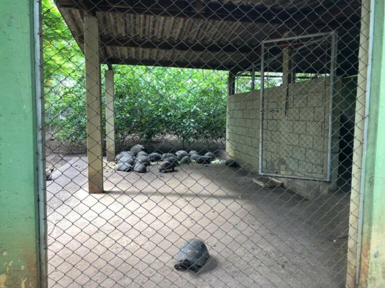 Polícia investiga morte de ema no zoológico de Araçatuba