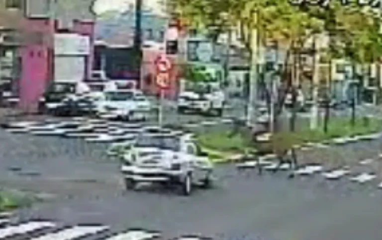 Mula morre após ser atropelada em avenida de Birigui