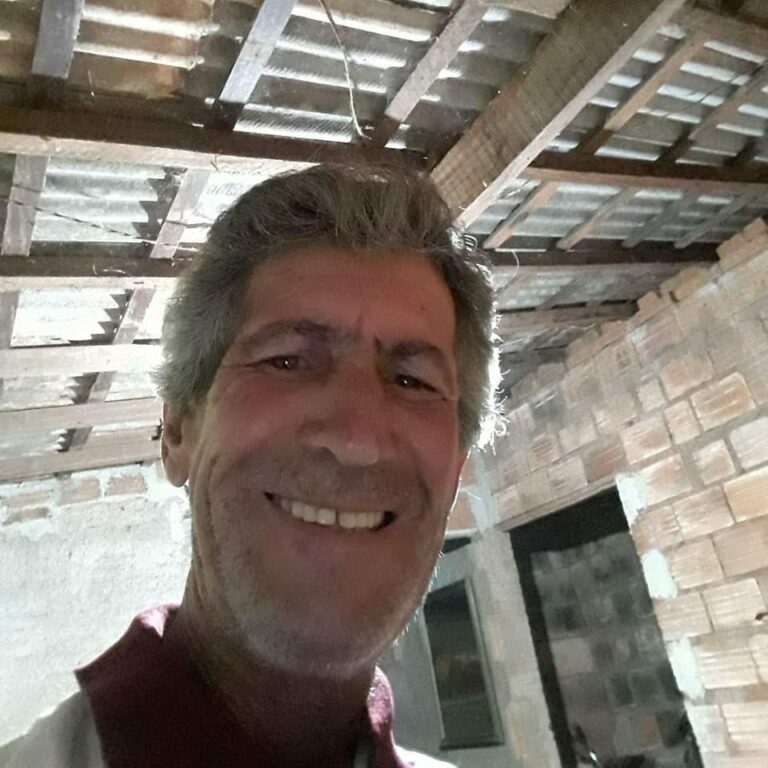 Idoso morre em ataque de abelhas ao tentar proteger a filha