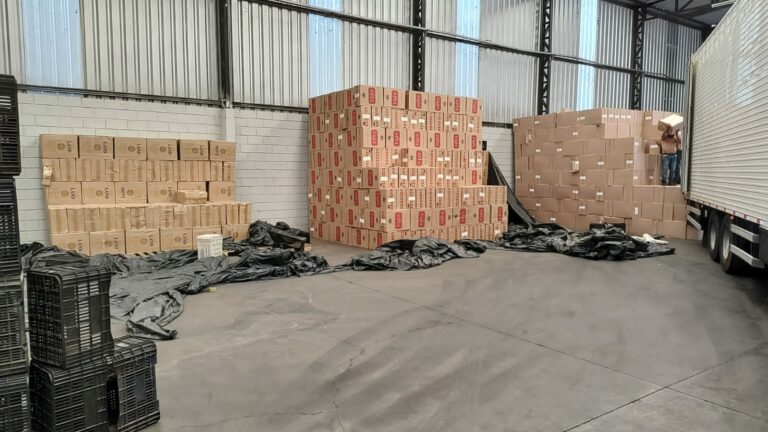 De acordo com o BO, havia 1.826 caixas de cigarros no local. Os envolvidos confessaram eles foram transportados do Paraguai.