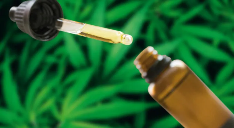 Tarcísio regulamenta lei de cannabis medicinal no SUS em São Paulo