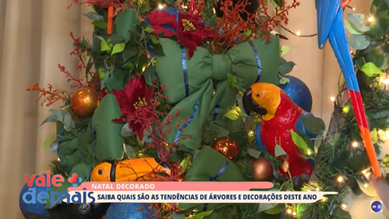 Com a contagem regressiva para o natal a cidade se ilumina cada dia mais e as árvores não ficaram de fora de todo esse brilho