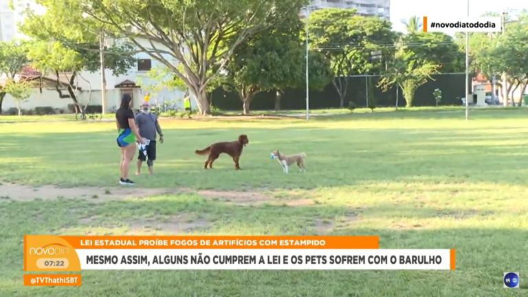 Durante as festas de fim de ano, é tradicional a queima de fogos em muitas cidades. Entretanto, existe uma lei estadual