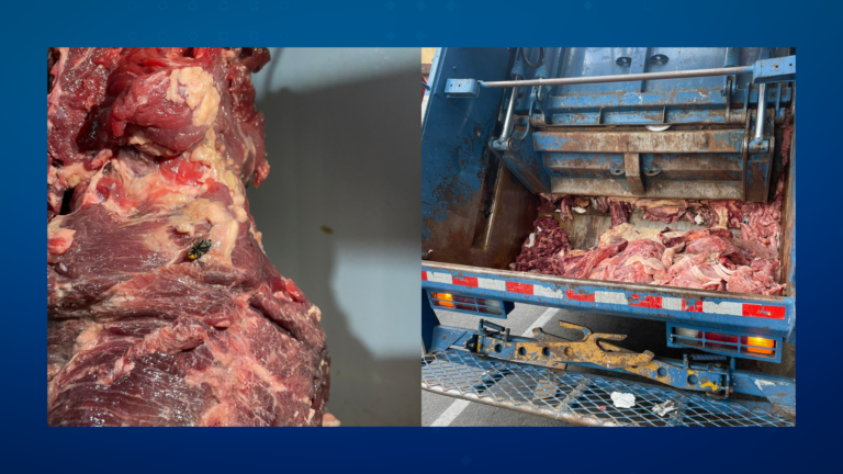 Azedou o churrasco: Polícia Civil fecha açougues que vendiam carnes estragadas