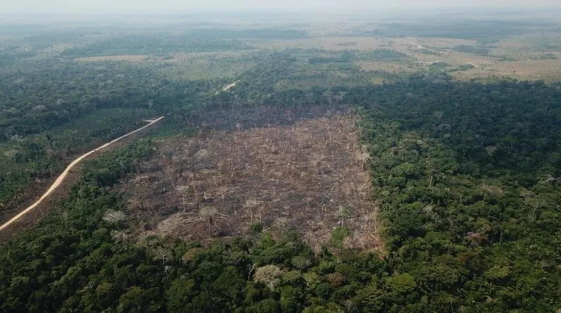 Área desmatada na floresta amazônia (Reprodução/Ag.Brasil)