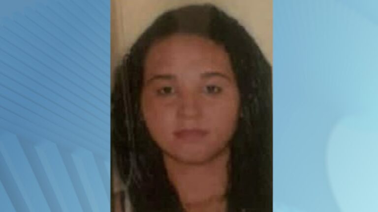 O que se sabe sobre o caso da mulher e filha de 1 ano encontradas mortas a facadas