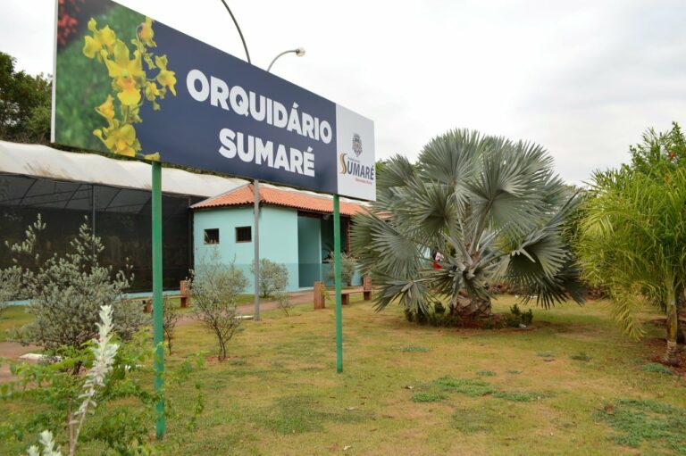 Veja quando acontece 14ª Mostra e Venda de Orquídeas de Sumaré.