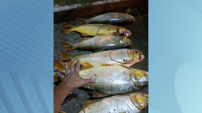 Polícia ambiental flagra pesca ilegal e aplica multa de R$12 mil