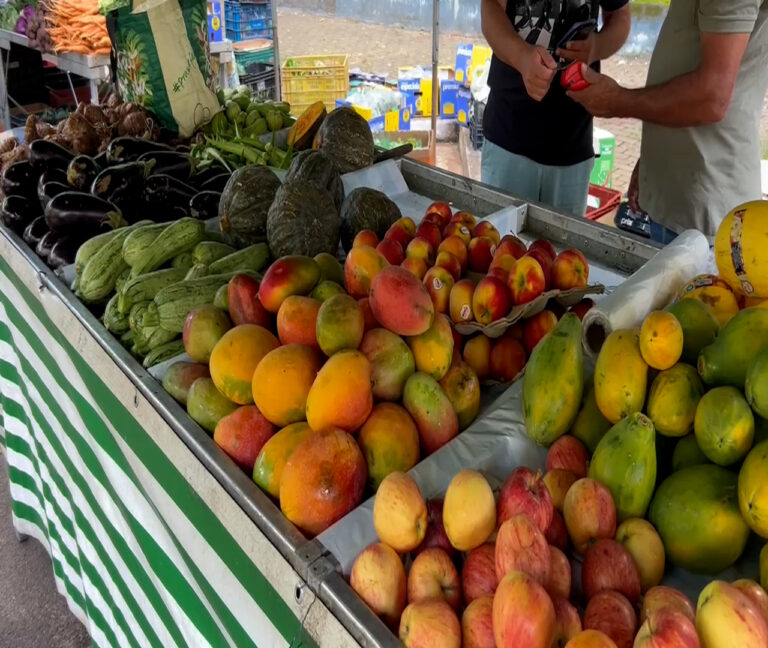 Procon Campinas divulga pesquisa sobre diferenças de preços para a ceia de Natal