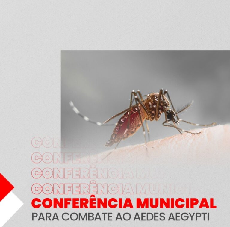 Araçatuba realiza Conferência Municipal para combate ao Aedes aegypti