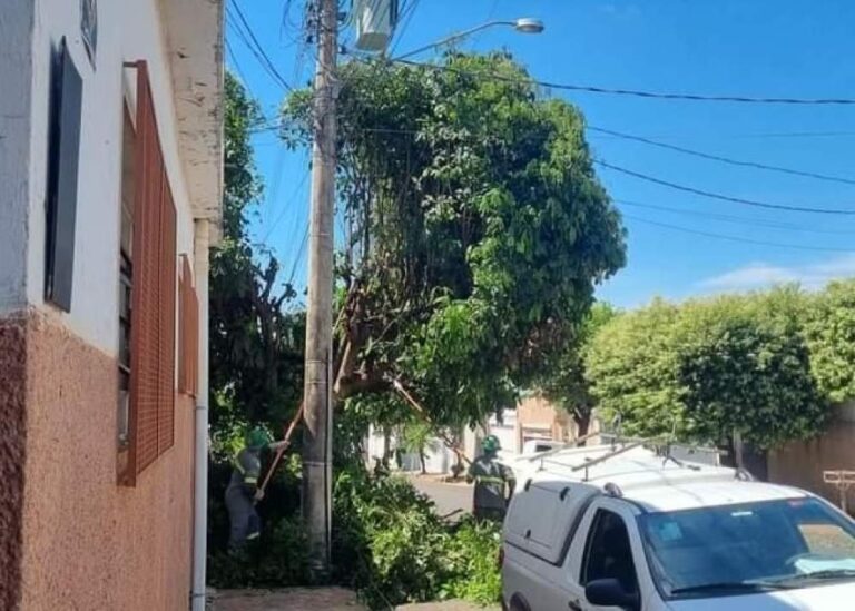 Corte de cabos durante poda de árvores causa interrupção nos serviços de telefone e internet
