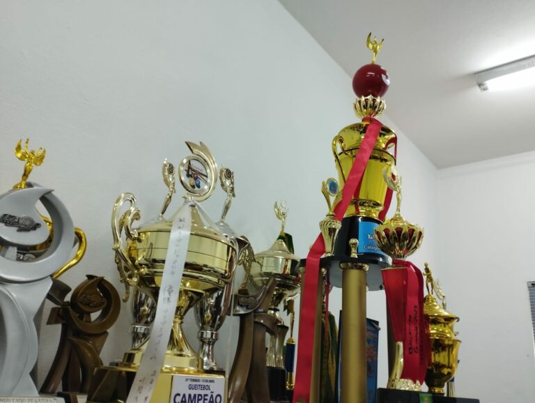 Nipo araçatubense: o passado, o presente e o futuro