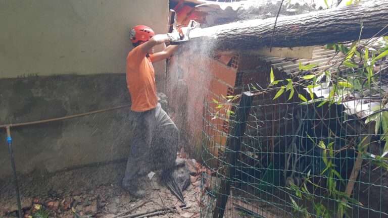 QUEDA DE ÁRVORE EM CASA DE SSB