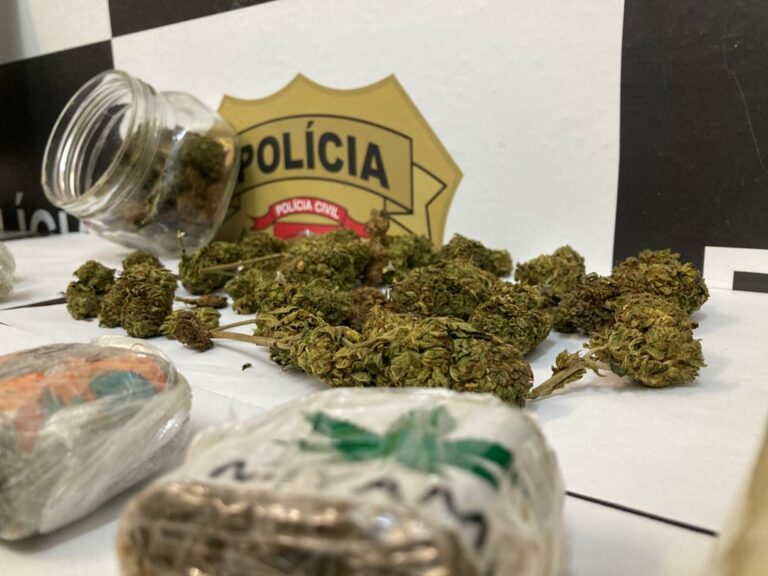 venda de drogas internet taubaté