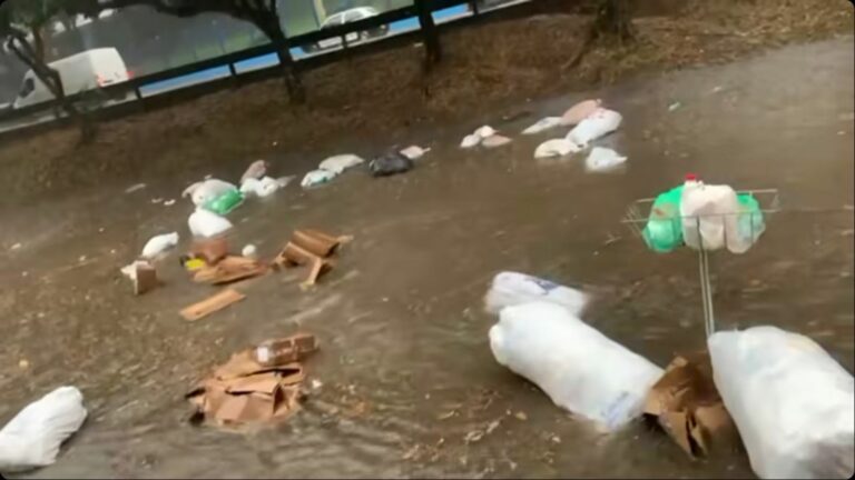 temporal 230 ocorrências e queda de árvores