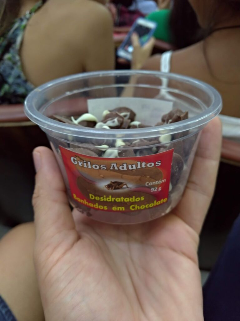 Aroma de camarão e gosto de frutos do mar;  entenda como é feita a farinha proteica à base de grilo