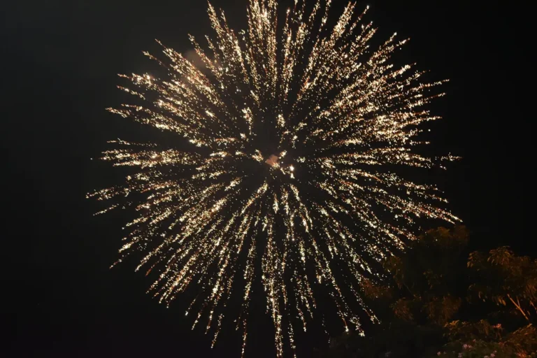 Réveillon 2024: confira as festas programadas no noroeste paulista