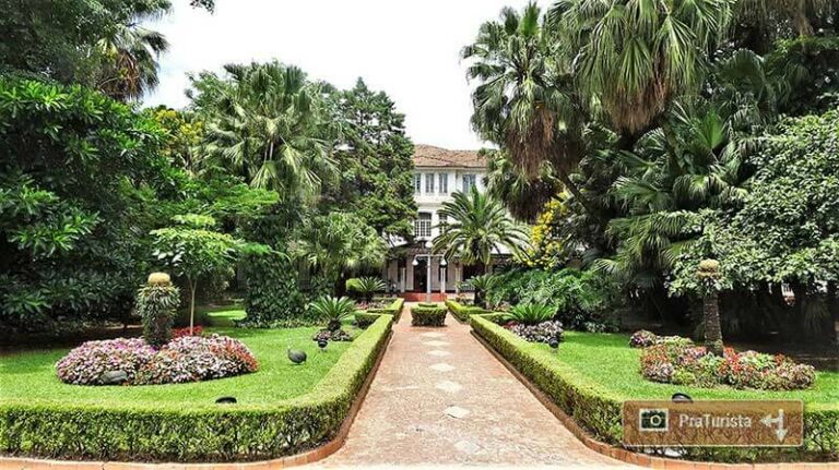 Ler é o melhor remédio e é isso que a feira de livros quer transmitir. O Parque Vicentina Aranha traz para o público um evento que une família