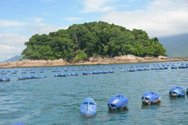 corpo boiando na praia da cocanha em caraguá