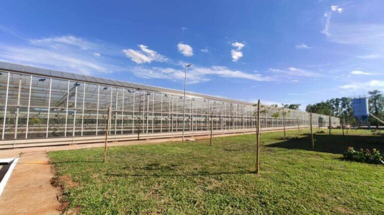 Cetesb identifica origem do mau cheiro na zona leste de Araçatuba