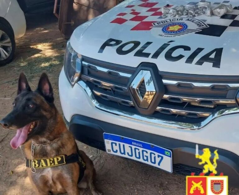 Jovem de 20 anos é preso por tráfico em Araçatuba